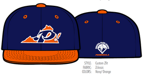 2023 On-Field VA Hat